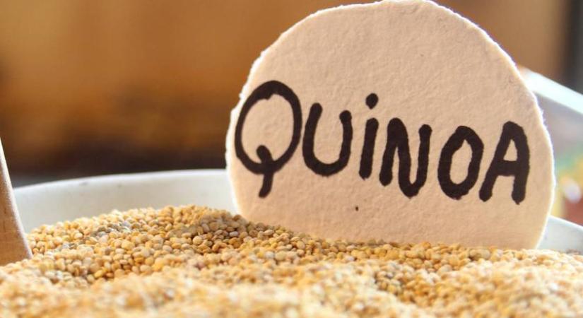 Kreatív és tápláló fogások quinoával: fehérjedús recepteket mutatunk