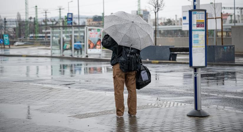 80 ezer BKV-járatot hiába vártak az utasok tavaly