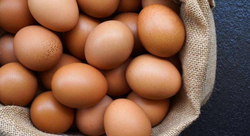 Ellenőrzik az étkezési tojás és az édesipari termékek forgalmazását Bács-Kiskunban