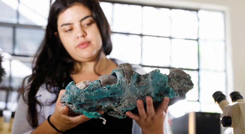 Brazil kutatók "félelmetes" műanyag sziklákat találtak egy távoli szigeten