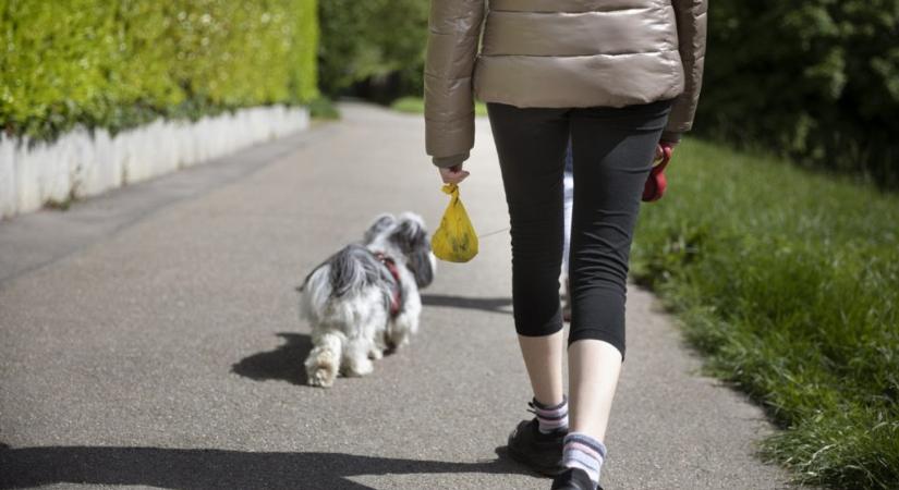 Kampányt indított egy nő a kutyakakis zacskók ellen