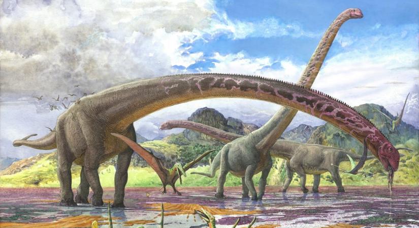 Megtalálták a világ leghosszabb nyakú dinoszauruszát