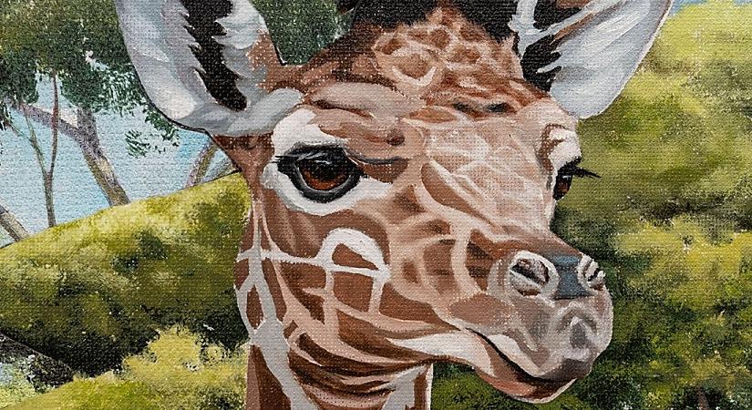 Országos rajzpályázatot hirdet a jubileumát ünneplő debreceni állatkert