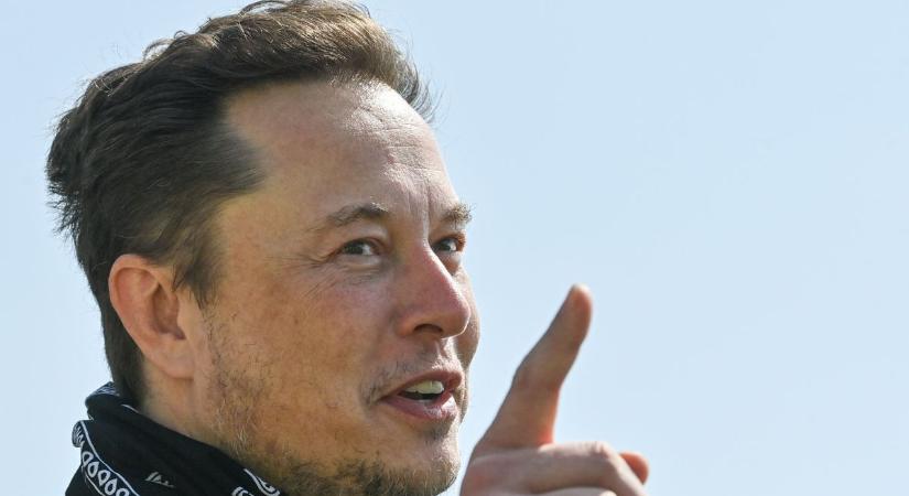 Elon Musk belenyúlt a liberális darázsfészekbe