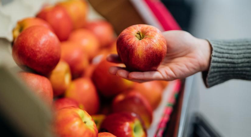 Ingyenes gyümölcs- és zöldségprogramot indítanak Erzsébetvárosban
