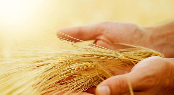 Összejött: megvan a megállapodás az orosz-ukrán gabonaexportról