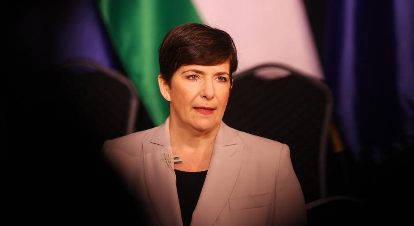 Dobrev Klára (Facebook): Az EU-tagság az életünket jelenti, megmaradásunkat a népek tengerében