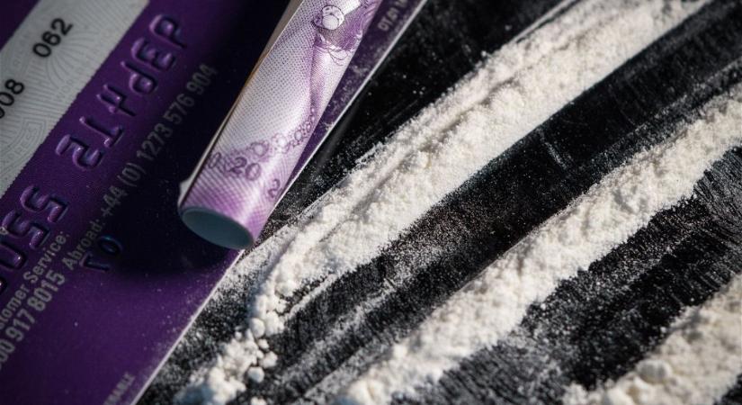 Rekordot döntött a kokain alapanyagának termesztése