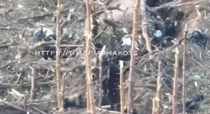 Döbbenetes videón, ahogy bemászik az ukrán lövészárokba egy orosz katona és oldalbatámadja az ott talált egységet (videó)