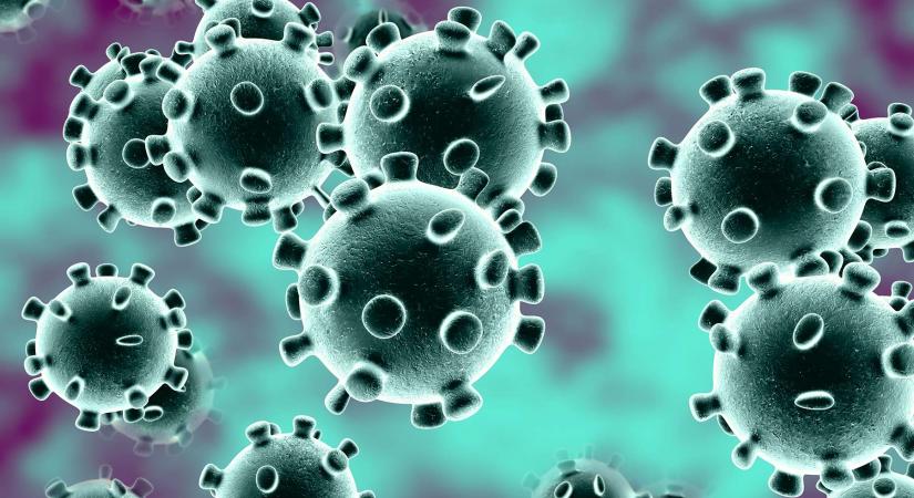 Vécépapírbélyeg készül a koronavírus járvány miatt