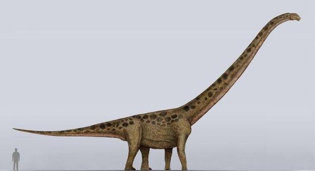 Megtalálták a leghosszabb nyakú dinoszauruszt