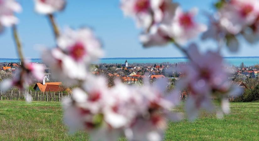 Virágkalandok tavasszal – Tippek tavaszi kirándulásokhoz