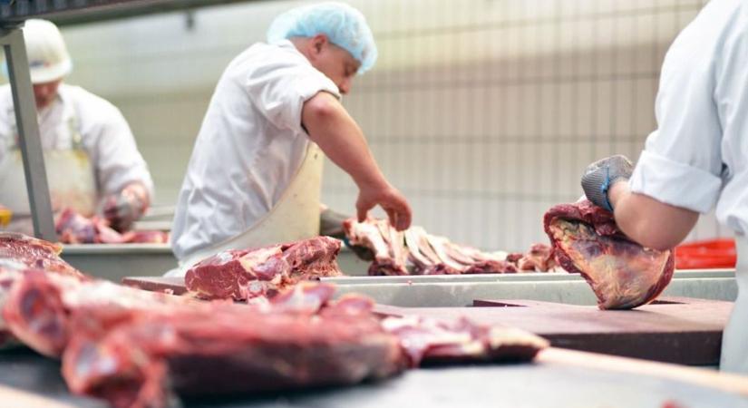 Megkapták végkielégítésüket a szekszárdi cég dolgozói