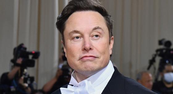 Egyre inkább árthat a Teslának Elon Musk zűrös személyisége