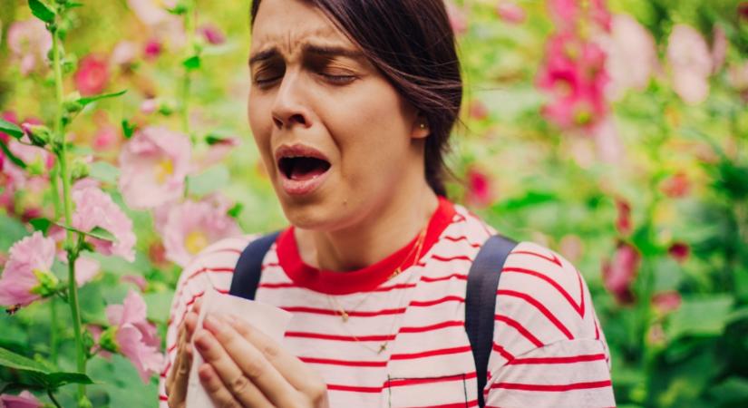 Hogyan éljük túl az allergiaszezont? – Tippek a könnyebb lélegzetért!