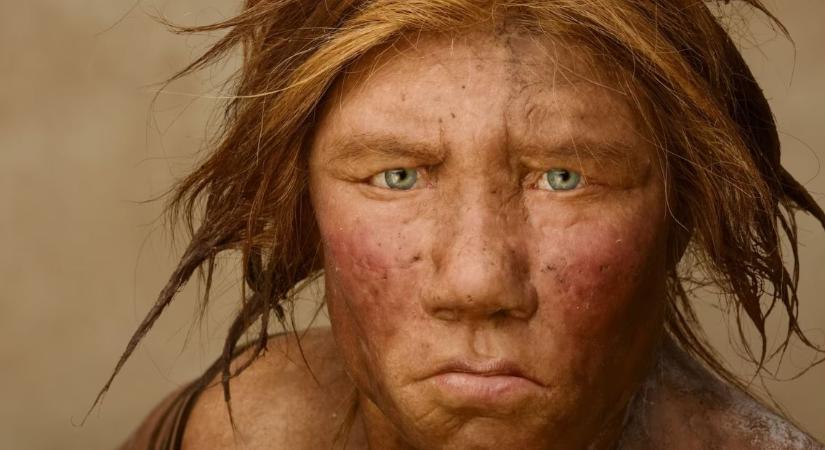 A velünk vívott háború, vagy a klímaváltozás okozhatta a neandervölgyiek kihalását?