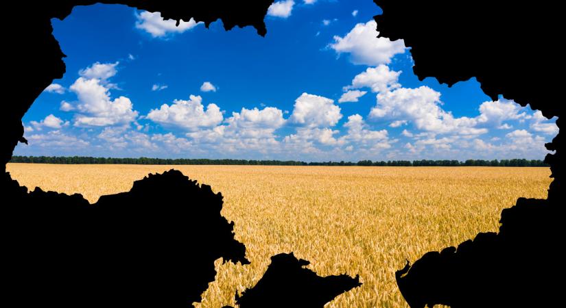 Lépett a NAK: áramlik az ukrán gabona az országba, így segítenék a gazdákat