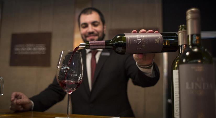 Hat kategóriában ítélték oda a Magyar Sommelier Szövetség díjait - Ők nyertek!