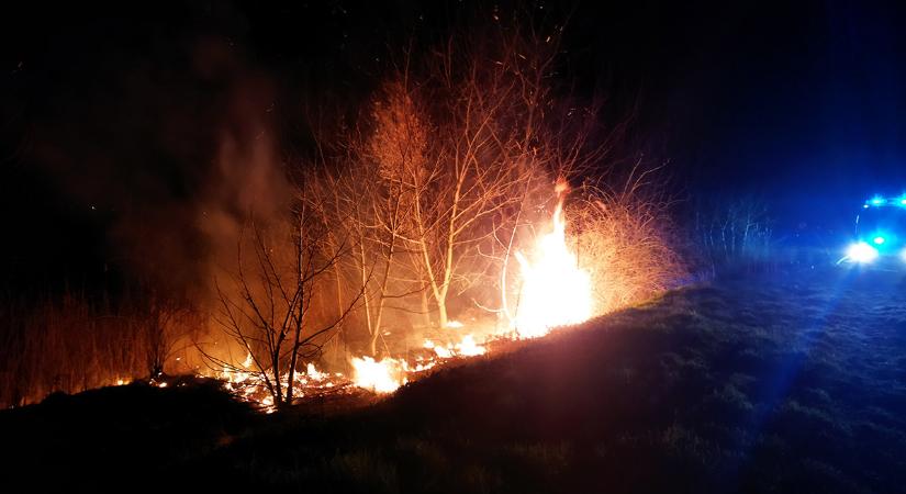 Két helyszínen égett a nádas Kamut közelében