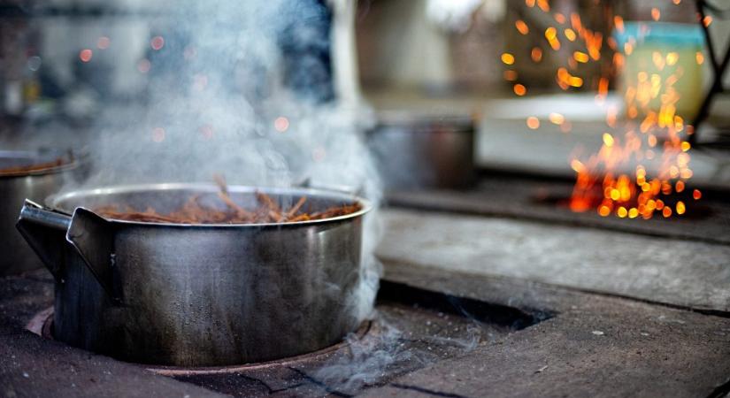 Fény derült az ayahuasca rejtélyére