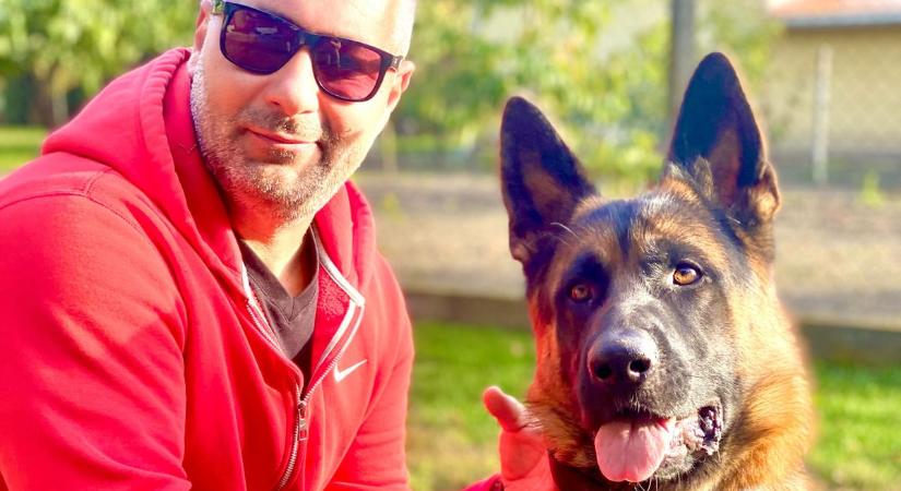 „Mindenkit megtanítok kutyául” - A Feol podcast vendége Nyakas Gábor kutyaviselkedés-szakértő