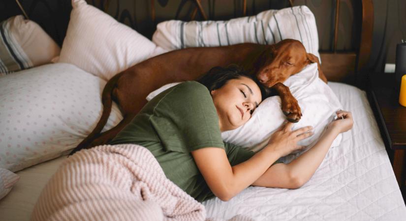 Rosszabbul alszik, akinek kutyája, cicája van? A kutatók válaszolnak