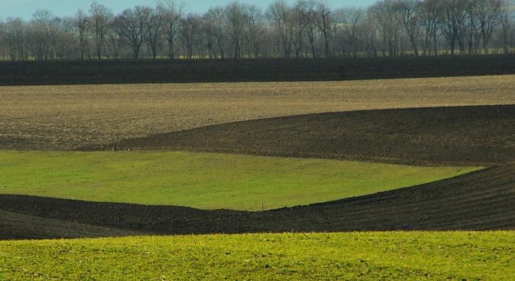 Személyre szabott AÖP-ajánlat az Agrárkamarától