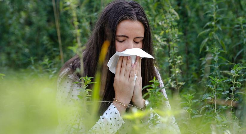 Naponta frissülő adatok segítik az allergiásokat