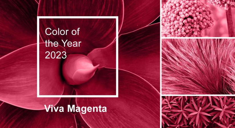 Az év színe a Viva Magenta - így építsd be a hétköznapjaidba!