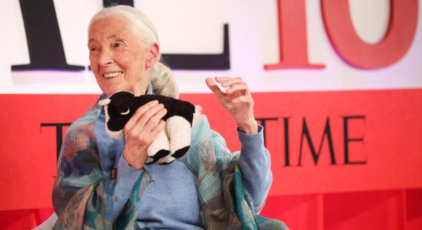 Hazánkba jön a világ egyik legnagyobb környezetvédője, Jane Goodall