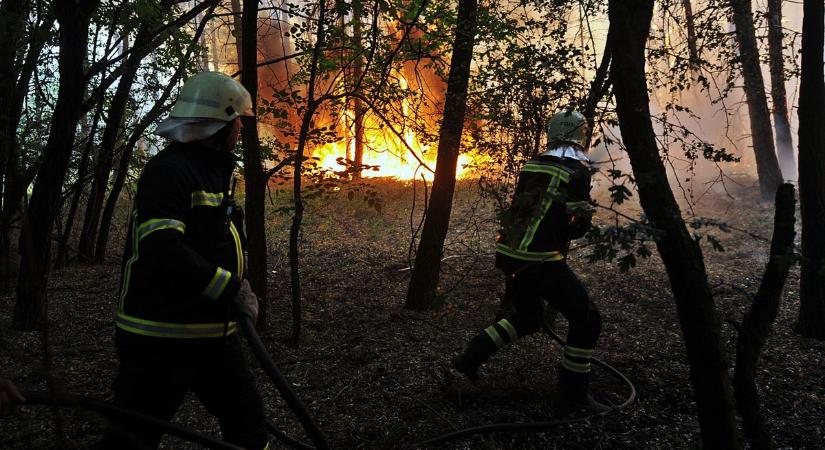 Egyre több a szabadtéri tűz Bács-Kiskunban
