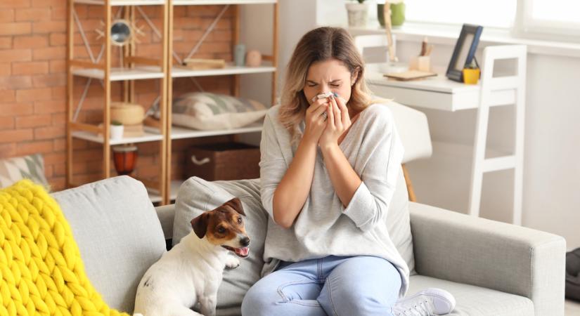 Nátha vagy allergia okozza a tüneteit? Így derítheti ki