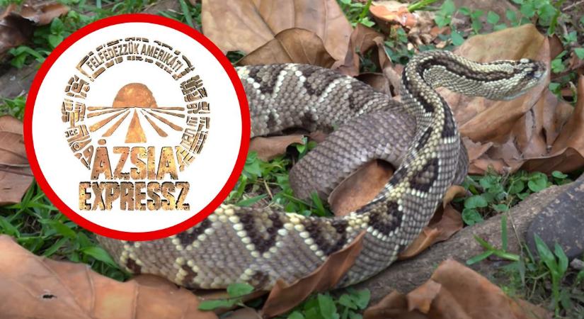 Mindenhol veszély leselkedik az Ázsia Expressz sztárjaira