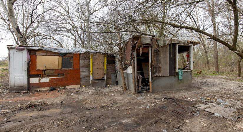 Így néz ki a takarítás vége felé a leégett fehérvári hajléktalantelep (videó)