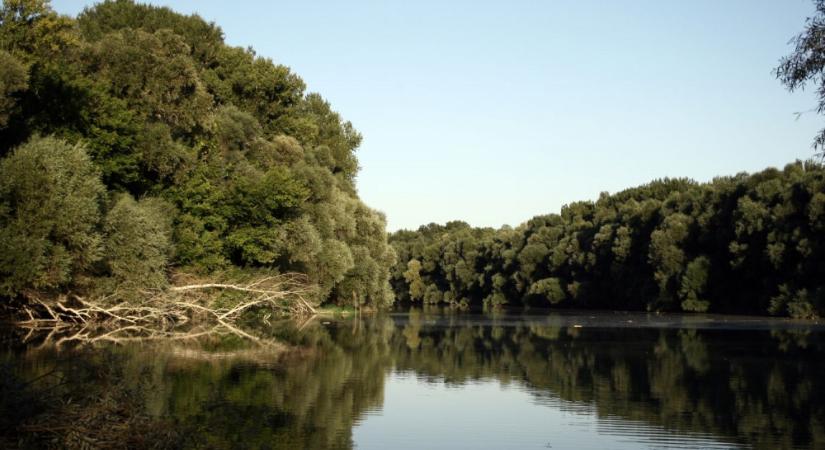 Élő folyók, élő árterek: egy esély a súlyosbodó szárazságokkal szemben