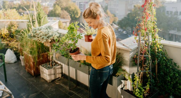 Növények lustáknak: ezeket virágokat ültesd az erkélyre, ha nem vagy szakértő