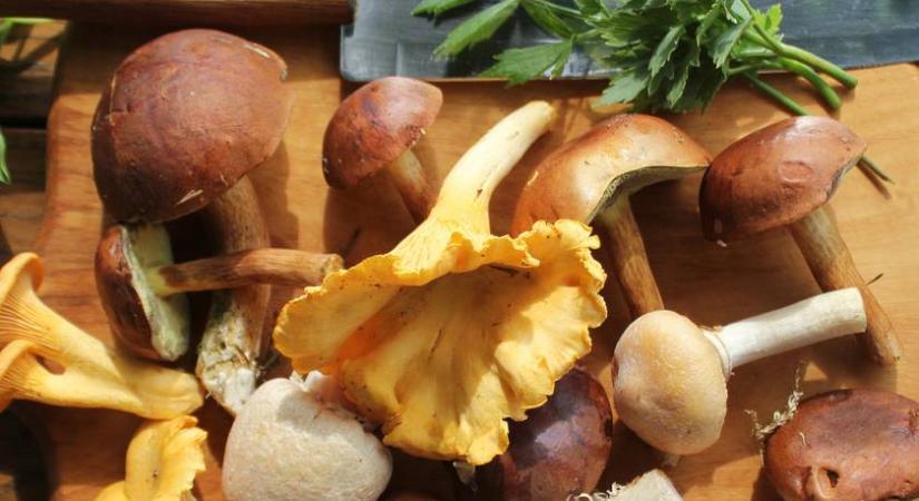 Így készíts tökéletes alaplevet gombából: rizottóhoz és leveshez is szuper