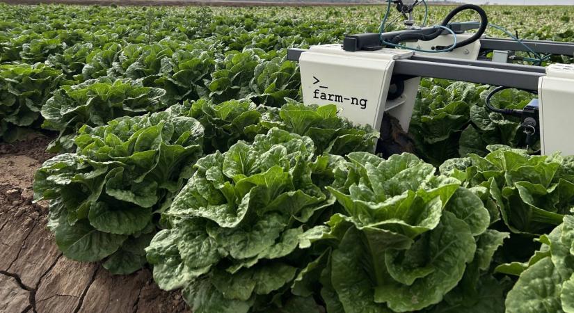 Autonóm, könnyen manőverezhető robot segíti a zöldségtermesztőket