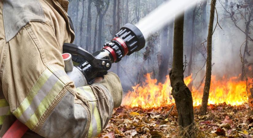 Veszélyes csikkek: 9 tűzhöz siettek tűzoltóink egyetlen nap alatt Komárom-Esztergomban