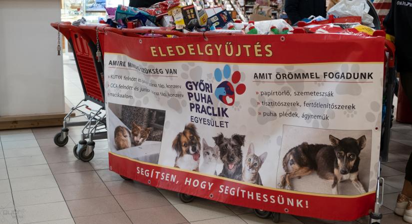 Ismét számít a támogatókra a Győri Puha Praclik Egyesület