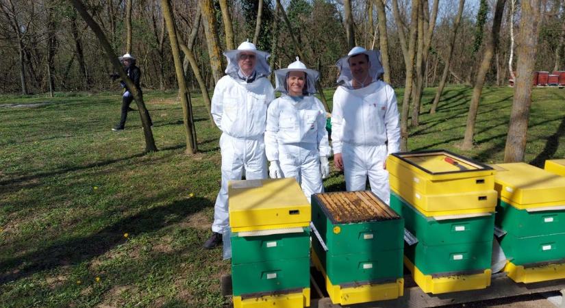 Somogyi méhészetet is meglátogatott Novák Katalin