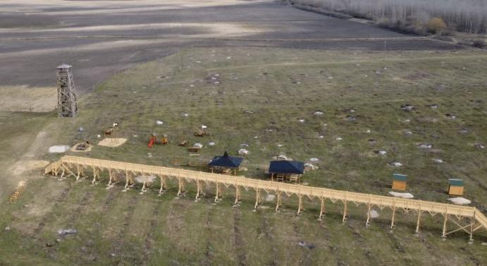 Elképesztő magyarázatot adott a fideszes polgármester a kivágott erdőbe épített lombösvényre