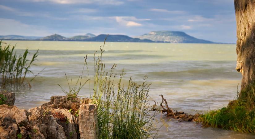 Súlyos a helyzet a Balatonnál: talán már sosem lehet megállítani a tó pusztulását