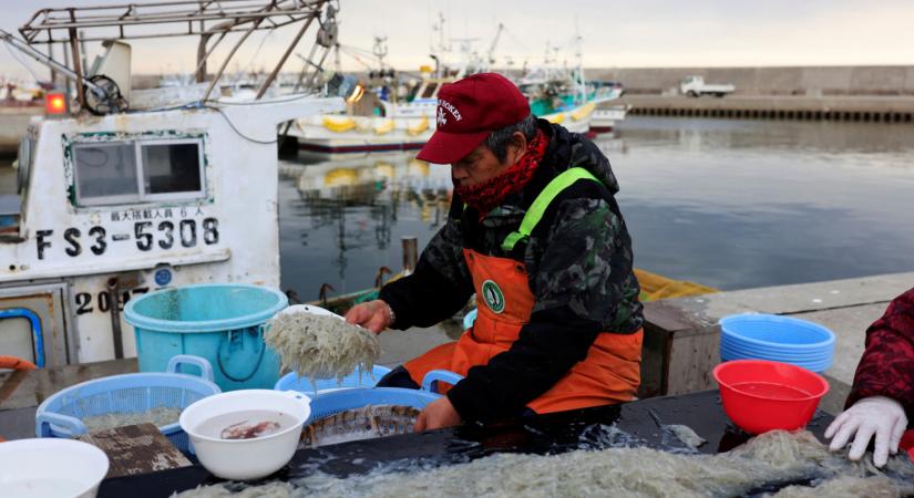 Épp helyreállna a fukusimai halászat, erre beleengedik az óceánba az atomerőmű hűtővizét