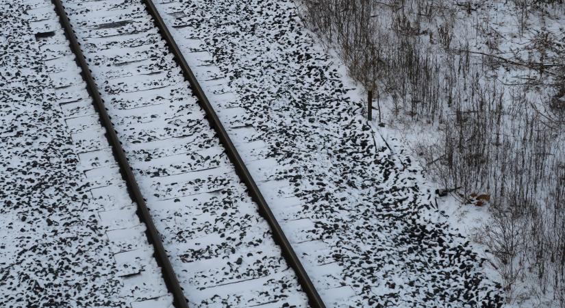 A Mozdonyvezetők Szakszervezete szerint súlyos vétséget követ el a MÁV
