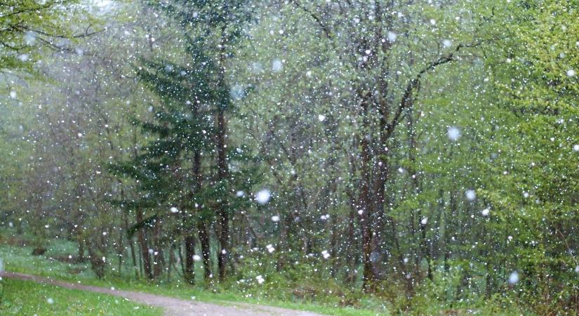Havazik és havas eső esik Veszprémben