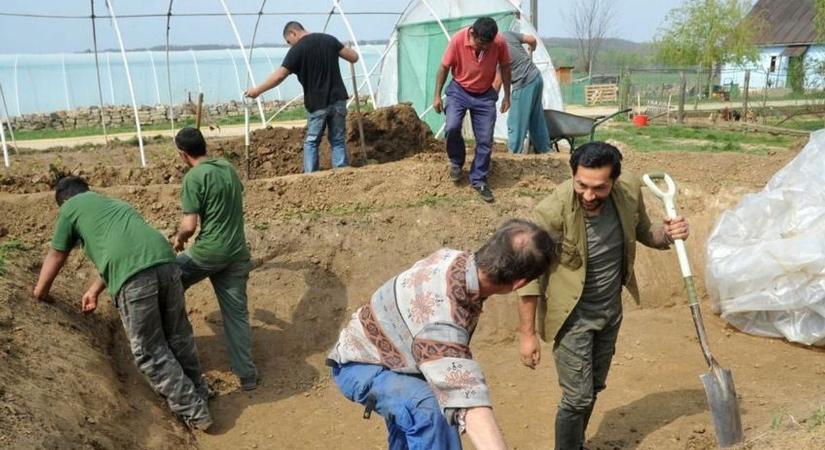 Így alakul Magyarországon a roma népesség foglalkoztatása