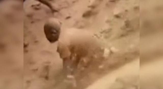 Megrázó felvételen, ahogy puszta kézzel ásnak ki kilenc embert a beomlott bányából