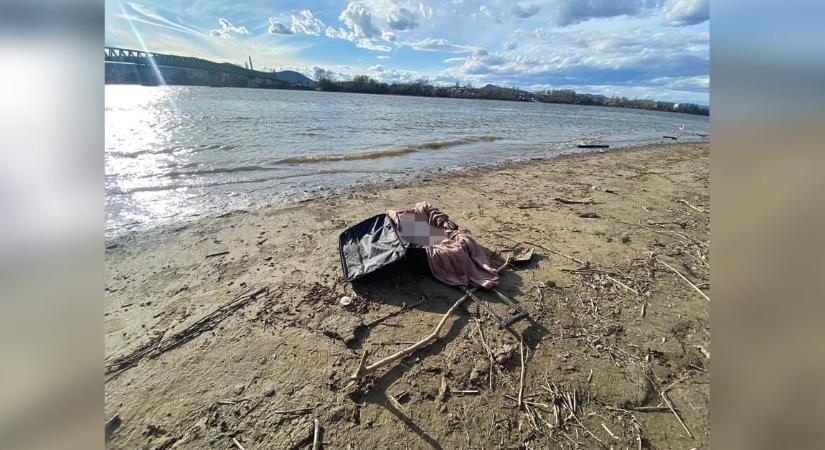 Bőröndbe rejtett kutyatetemet találtak a Duna partján