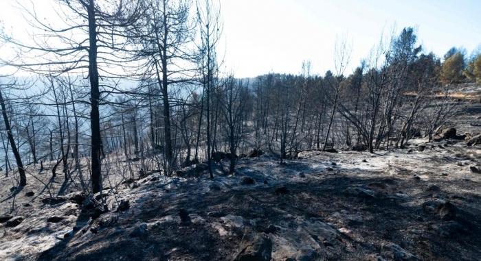 4000 hektáron pusztított Spanyolország idei első erdőtüze